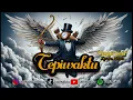 Download Lagu Penyair Cinta (Lyrics Video) - Tepiwaktu