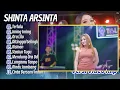 Shinta Arsinta - TERLALU - IMING IMING - CINTA BOJONE UWONG HEHE HAHA || DANGDUT KOPLO TERBARU 2025