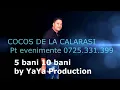 Download Lagu COCOS DE LA CALARASI - 5 BANI 10 BANI