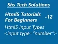 Html5 Input type number