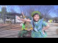 [あおきいろ]【ツバメ】ミドリーズ2期生 ダンスミュージックビデオ フル | SDGs | NHK