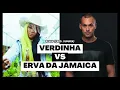 Download Lagu Verdinha X Erva da Jamaica - Ludmilla e Vegas | DJ DUMARA #Remix #Mashup
