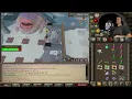 Duke Pet Grind - 1800kc MrBabyHandsome