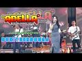 Download Lagu CANTIKA NUSWANTORO - BUKIT BERBUNGA - OM ADELLA - CUMI CUMI AUDIO LIVE PACITAN