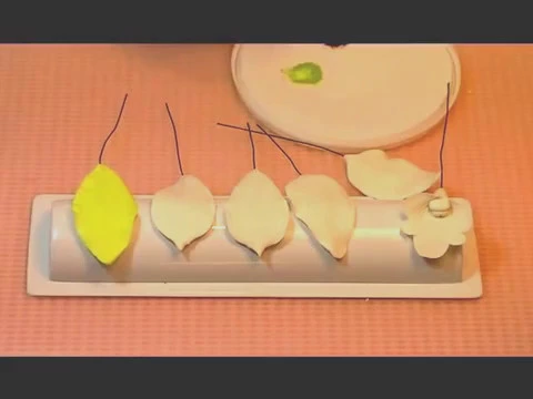 CÓMO HACER UNA ORQUÍDEA DE PASTA DE GOMA