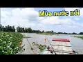 Download Lagu Câu cá Mùa nước nổi vùng biên giới - Kỳ lạ tâm linh câu cá trong giấc mơ