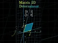 What is the Determinant of a Matrix