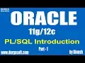 Oracle Introduction Part - 1 by dinesh