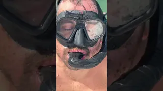 Gross Bottom Cleaning #sailing #sailboatlife #sailingbyefelicia