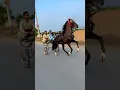 Download Lagu Stylish horse #horseriding #tanga race #horseracing ￼￼