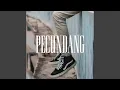 Download Lagu Pecundang