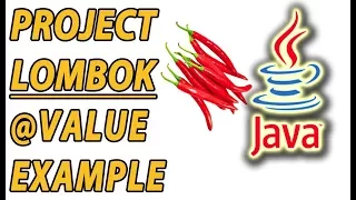 Project Lombok Immutable Value Example Part 6