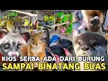 Lagu KIOS BURUNG SERBA ADA || KICAUAN MASTERAN AVIARI BINATANG BUAS SEKALIPUN DI PASAR BURUNG PRAMUKA 