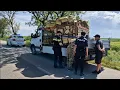 Download Lagu Mafia lemnului atacă ! Amenință și înjură ! Poliția 112 Constanța pentru decor !