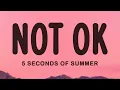 Download Lagu 5 Seconds of Summer - NOT OK