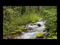 Nature Sound relaxing Music - Eric Satie Gymnopedies. Birds. Water. Forest - Classical Music Online