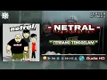 Download Lagu NETRAL | TERBANG TENGGELAM | AUDIO HD