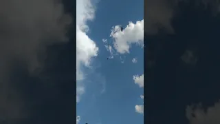                     دندنها