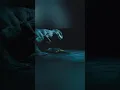 Download Lagu WHAT IF ? Indominus Rex 🩶🤍 vs Indoraptor 🖤💛 #indominusrex #indoraptor #jurassicworld #fallenkingdom