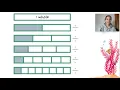 Fraction Bars