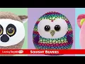 TNxxxx Ty Beanie Roundup