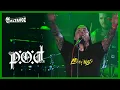 Download Lagu P.O.D. (concierto completo) en Vivo, Festival Altavoz 2024 | Medellín - Colombia / Altavozfest día 1