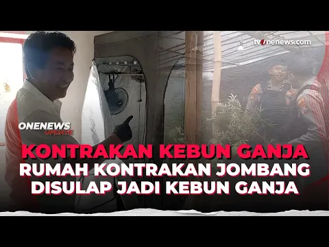 Rumah Kontrakan Disulap Jadi Greenhouse Ganja, 110 Pohon Digerebek Polisi
