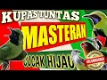 Download Lagu KUPAS TUNTAS‼️ MASTERAN CUCAK HIJAU yang WAJIB di HINDARI