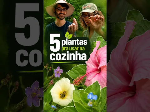5 Plantas que são pancs  – série Colher, Comer