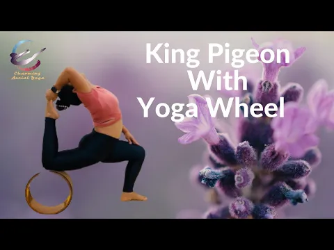 King Pigeon with Yoga Wheel