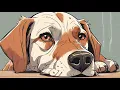Why Is My Dog s Nose Dry and Cracked Understanding the Causes and Solutions