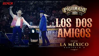 Palomazo Norteño - Los Dos Amigos (Video Oficial)