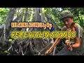 Lagu Nature sounds relaxing music real violin I Musik santai suara biola asli