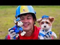 We Found PAW PATROL MARSHALL Car Abandoned After SHOCKING Crash! Where is Marshall?