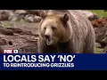 Darrington locals say no to reintroducing grizzlies FOX 13 Seattle