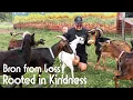 Upstate New Yorker Farm in Broome Steven Marion