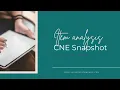 Snapshot 19 CNE Snapshot Item Analysis