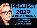 Why Regulation Will Make Democrats Popular Again Project 2029 A Reimagining