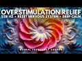 Lagu 528 Hz 🧠 Nervous System Reset • Deep Healing Frequency for Anxiety Relief | 1 Hour Meditation Music