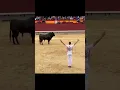 Download Lagu Pertunjukan banteng matador #reel #animals #bull #wildlife