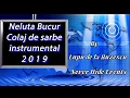 Download Lagu George Nicoloiu \u0026 Neluta Bucur   Super colaj de melodii instrumental   Sarbe  2019