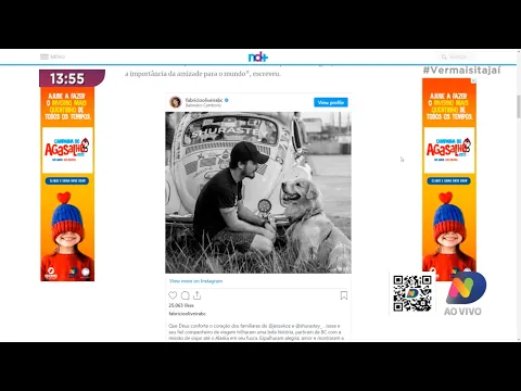 Catarinense e cachorro que viajavam América morrem nos EUA