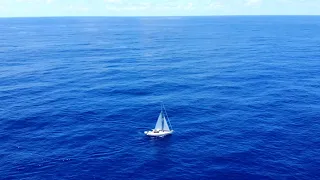 Day 2 of FIRST EVER OCEAN CROSSING!