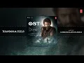 Thandavam Feels OST | Devara Part 1 Original Sound Track | Anirudh Ravichander | Koratala Siva