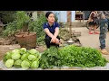 Download Lagu Cabbage Harvest \u0026 Coriander Go market sell | Cook pig food | Life in farm.