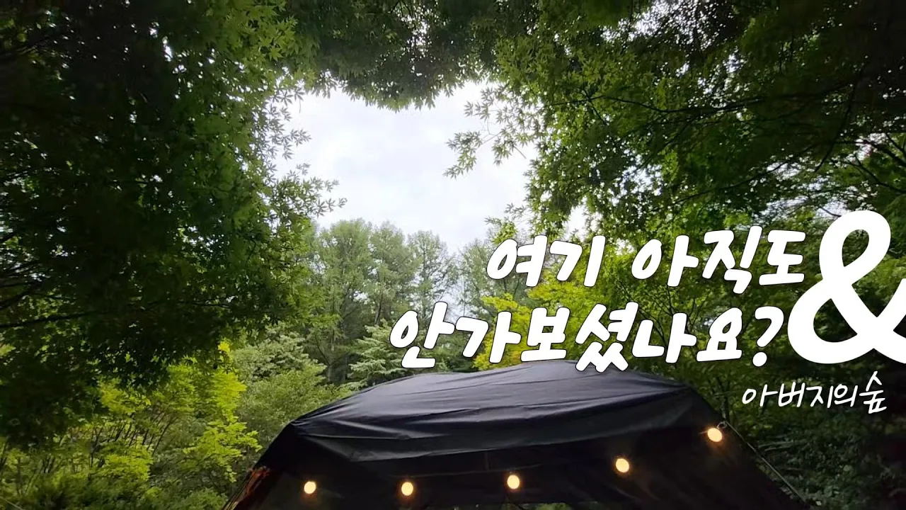 포천 아버지의숲 캠핑장 산정캠프ㅣ폭염경보 계곡캠핑ㅣ서울근교 캠핑장추천 사이트소개ㅣDOD원터치텐트 サムネイル