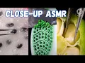 CLOSE-UP THINGS Macro Objects with Erion Best Satisfying s