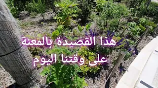 Marhoum Boubekeur Hattali 