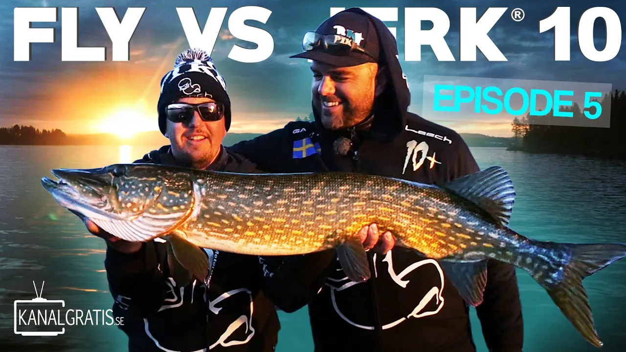 video Fly vs Jerk 10 - Reality pike fishing competition