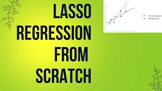 Lasso Regression from Scratch with Python